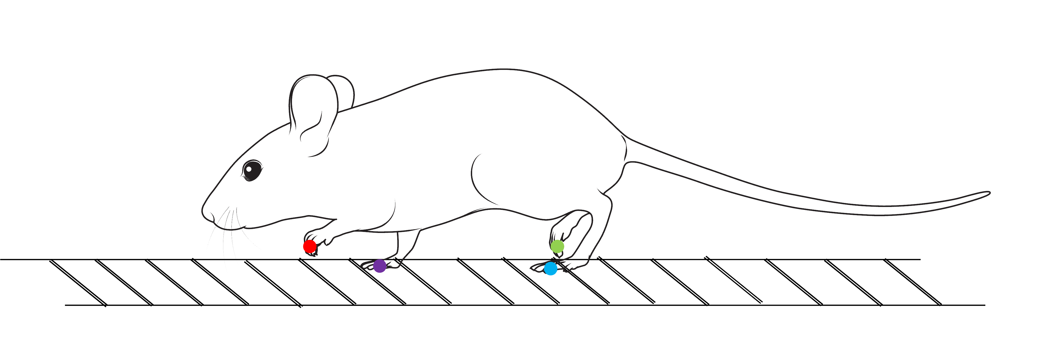 Foot fall module