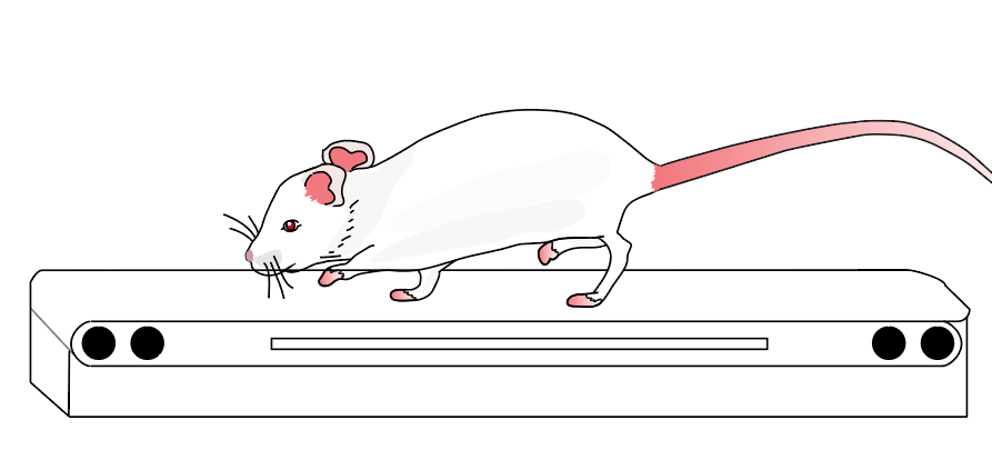 Treadmill module